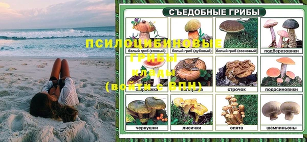 шишки Алексин