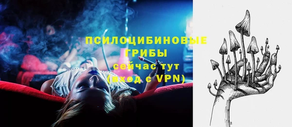 шишки Алексин