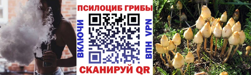 Псилоцибиновые грибы MAGIC MUSHROOMS Анива
